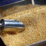 سازوکار قیمتگذاری طلای جهانی/ چرا اونس طلا رکورد زد؟