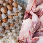 سقوط آزاد مصرف مرغ و تخممرغ در کشور/ طلاکش: دلار که آزاد شد، مردم دیگر مرغ نمیخرند