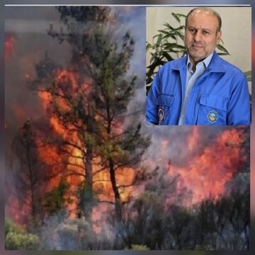 عامل آتشسوزی تالاب انزلی دستگیر شد