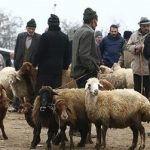 قیمت قربانی برای حج ۱۴۰۵ چقدر شد؟