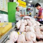 قیمت واقعی مرغ اعلام شد/ این قیمتها را ببینید