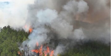 مرزبانی: ۲ هکتار از عرصههای طبیعی گیلان دچار حریق سطحی شد