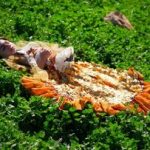 مستند «گلین بالا» روایتی از آیینها و باورهای رو به فراموشی است