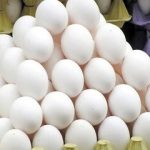 ممنوعیت صادرات تخممرغ لغو شد/ جزییات