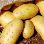 نرخ سیبزمینی و پیاز در سال آینده رسما اعلام شد + جزییات