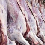 وعده تغییر قیمت در ماه رمضان / هر کیلو گوشت مخلوط چند اعلام شد؟