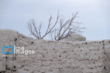 پایتخت از خشکسالی عبور کرد؟/ حجم آب سدهای تهران اعلام شد