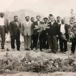 پرداختن به دغدغه اتحاد و محیط زیست؛ چگونه درختان شهر را نجات دادند؟