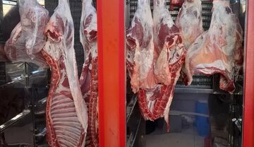 کاهش چشمگیر قیمت گوشت قرمز در بازار امروز/ گوشت گوسفندی به چند تومان رسید؟