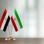 دیدارهای علی باقری با مقامات امنیتی مصر و برزیل