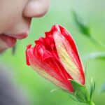 چرا بوها خاطرات قدیمی را زنده میکنند؟/ راز عجیب حافظه بویایی انسان