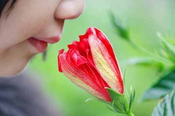 چرا بوها خاطرات قدیمی را زنده میکنند؟/ راز عجیب حافظه بویایی انسان