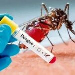 ابتلای ۵۷۷ نفر به تب دنگی در کشور/ این منطقه بیشترین تعداد مبتلایان را دارد