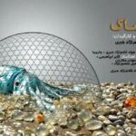 جایزه ویژه هیاتداوران شیلی به مستندساز بوشهری رسید