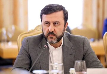 غریبآبادی: ایران نمیخواهد کشتیها را پشت تنگه نگه دارد/دو کشور ایران و عمان ضرری متوجهشان نیست اما نفع را چه کسی میبرد؟