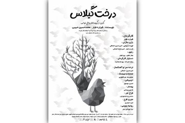 نبرد پرندهها با دارکوب زورگو در تالار هنر