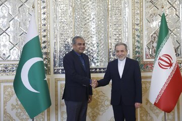 نقوی با عراقچی دیدار کرد؛ پیام شریف به آیتالله خامنهای تسلیم وزیرخارجه شد + تصاویر