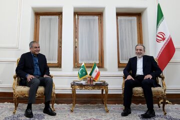 هدف از سفر وزیر کشور پاکستان به ایران چیست؟ / العربیه: میانجیگری اسلام آباد برای جلوگیری از تعویق مذاکرات / لبنان همچنان گره اصلی مذاکرات