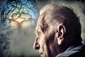 هشدار! مصرف این خوراکی مشکلات حافظه را بیشتر میکند