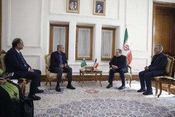 وزیر کشور پاکستان با عراقچی دیدار کرد