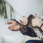 افزایش موارد نگهداری از مار به عنوان حیوان خانگی/ وزارت بهداشت چه می‌گوید؟