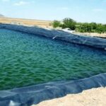 جهاد کشاورزی خراسان شمالی برای ایمن‌سازی چه کرده است؟