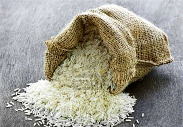 قیمت جدید انواع برنج ایرانی ۸ مرداد ۱۴۰۵/ برنج عنبربو، هاشمی، دم سیاه، شیرودی و…کیلویی چند شد؟ + جدول