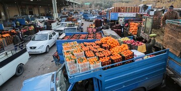 قیمت میوه بالاخره ارزان شد/ هلو، زردآلو، شلیل، سیب و گیلاس چند؟