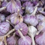 همه چیز درباره سیر و کلسترول؛ از فواید واقعی تا باورهای اشتباه