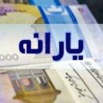 واکنش مردم به واریز یارانه تیرماه/یارانه میشه پول دو عدد چیپس!