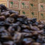 یک اتفاق مهم در بازار خرما / قیمت هر کیلو مضافتی به ۲۴۰ هزار تومان رسید