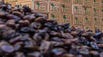یک اتفاق مهم در بازار خرما / قیمت هر کیلو مضافتی به ۲۴۰ هزار تومان رسید