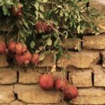 احمدینژاد، تخلیه تهران، خشکسالی و سینمای مستند/ پیشنهاد تماشای دو مستند درباره ایران ما