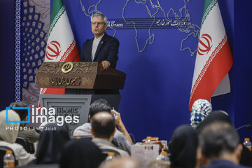 بقائی: مطالبه ایران از قطر، روشن شدن وضعیت خلبانان ایرانی است/خبر نشست محرمانه ایران و آمریکا در اربیل کاملاً ساختگی است