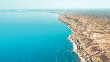 تحریمها چه بلایی بر سر تردد کشتیهای تجاری آورد؟