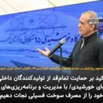 حمایت همه‌جانبه از تولید پنل خورشیدی؛ کلید نجات از مصرف سوخت فسیلی