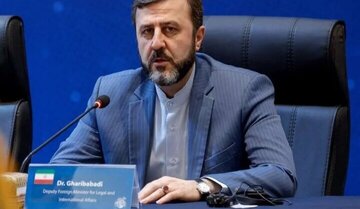 غریبآبادی: برای آمریکا روشن کردیم چه اقداماتی لازم است تا تنگه هرمز باز شود / با عمان تفاهم کردهایم / تحریمها چیز جدیدی نیست