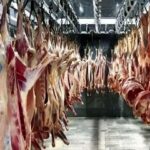 قیمت جدید گوشت قرمز امروز ۱۴ مرداد ۱۴۰۵/ ران گوسفندی کیلویی چند شد؟ + جدول