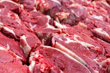 پردهبرداری از ماجرای فروش گوشت بوفالو در فروشگاههای کشور/ گوشت بوفالو از کجا وارد میشود؟/ هر کیلو بوفالو با چه قیمتی به فروش میرود؟