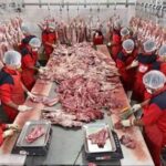 افزایش عرضه و ثبات نسبی بازار گوشت در پاییز