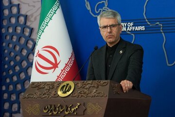بقائی: جهان باید ایران را بفهمد و پیامش را دریابد