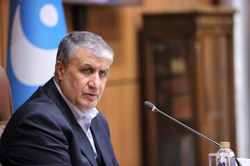 بلومبرگ: آمریکا مانع شرکت محمد اسلامی در نشست آژانس شد/ اتریش از ورود رئیس سازمان انرژی اتمی به وین جلوگیری کرد