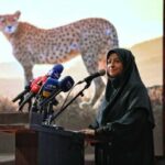 حفاظت از یوز آسیایی را با قوت دنبال می‌کنیم