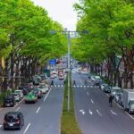 سرزمین خودروهای کوچک، در قلب صنعت خودروسازی / چرا در  ژاپن لندکروز سوار نمی‌شوند؟