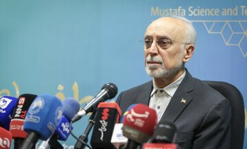 علیاکبر صالحی: چرا پزشکیان نباید در مجمع عمومی شرکت کند؟ / انشالله اتفاقی برای ایشان نمیافتد