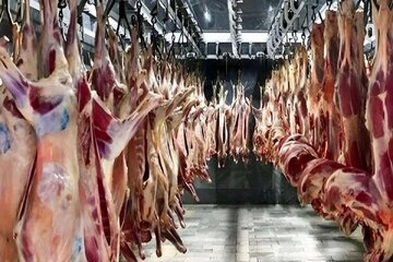 قیمت جدید دام زنده اعلام شد/ آزاد: قیمت منطقی گوشت کمتر از یک میلیون و ۵۰۰ هزار تومان است، اما بالاتر میفروشند