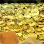 قیمت سکه امروز ۳ مهر ۱۴۰۵/ ربع‌سکه ۶۵ میلیون تومان شد + جدول
