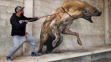 نقاشی‌های برجسته‌ای که زنده تصور می‌شوند/ نگاهی به آثار کادرگریز سرجیو اودیث؛ نقاش پرتغالی