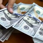 اولین واکنش وزیر اقتصاد به قیمت دلار/ مدنی‌زاده: خیالتان راحت؛ دولت برنامه حمایت از اقتصاد و معیشت مردم را دارد!