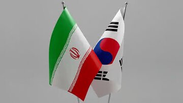 بازگشت دو ورزشکار ایرانی از کره جنوبی به ایران پس از تحمل ۱۶ ماه مراحل قضایی